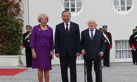 Tổng thống Ireland chủ trì Lễ đón chính thức Tổng Bí thư, Chủ tịch nước Tô Lâm