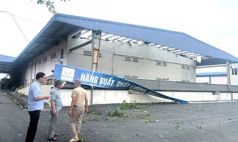 Các tổ chức quốc tế tin tưởng Việt Nam vượt qua những thiệt hại bão số 3 với những dự báo tăng trưởng lạc quan