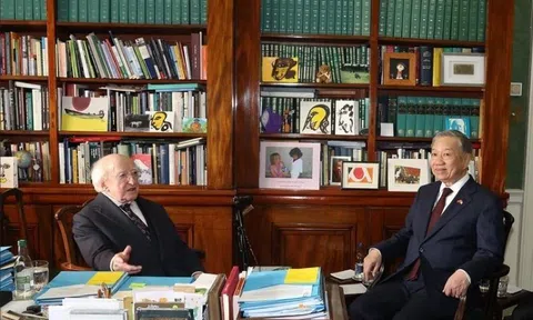Tổng Bí thư, Chủ tịch nước Tô Lâm hội đàm với Tổng thống Ireland Michael Higgins