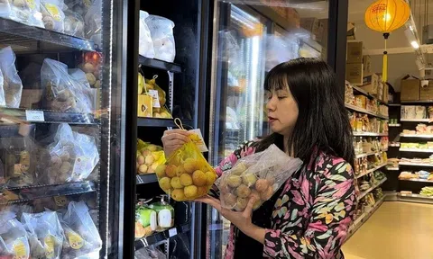 Đưa quan hệ giữa hai nước Việt Nam và Pháp lên một tầm cao mới tương xứng với tiềm năng và vị thế