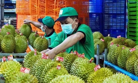 Xuất khẩu nông, lâm, thủy sản trong 9 tháng đạt trên 46 tỉ USD, tăng 21%