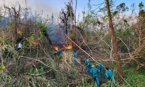 Quảng Ninh "căng mình" chữa cháy rừng và hỗ trợ tái sinh rừng sau bão số 3
