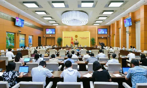 Đơn giản hoá thủ tục đầu tư, rút ngắn thời gian triển khai dự án để thu hút các nhà đầu tư chiến lược