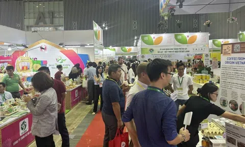 Ngành thực phẩm đón xu hướng đề cao các sản phẩm có tính xanh - bền vững của người tiêu dùng