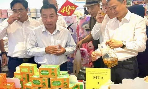 Hơn 150 sản phẩm OCOP và các đặc sản vùng miền của Nghệ An sẽ có mặt trên kệ hàng siêu thị GO!Vinh