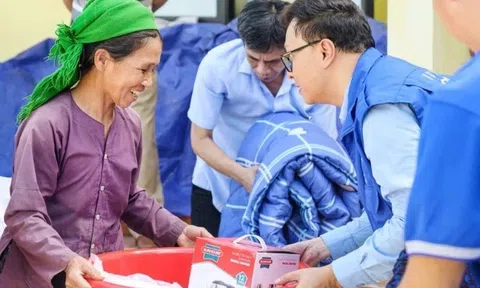 Chính phủ Nhật Bản tiếp tục hỗ trợ khẩn cấp 2 triệu USD giúp Việt Nam khắc phục hậu quả bão lũ