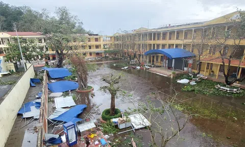 Thực thi sáng kiến “Phục hồi sớm và tái thiết sau bão Yagi” Hàn Quốc hỗ trợ Việt Nam 1 triệu USD