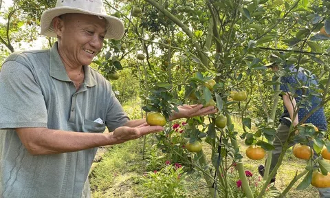 Tăng trưởng ấn tượng trong 9 tháng, cần tạo thêm động lực mới cho phát triển kinh tế những tháng cuối năm