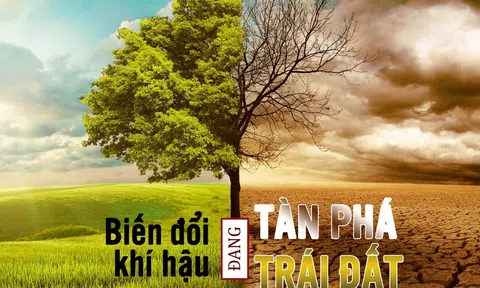 Ứng phó và giải quyết các vấn đề biến đổi khí hậu đòi hỏi khoản kinh phí hàng nghìn tỷ USD