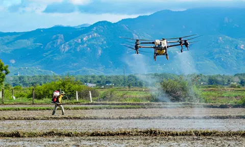 Đề cao vai trò của khoa học, công nghệ và đổi mới sáng tạo trong việc thúc đẩy hòa bình và phát triển bền vững