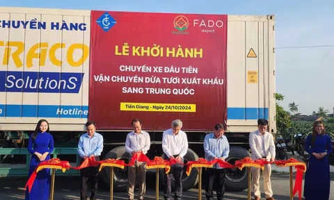 Tiền Giang xuất khẩu lô dừa tươi đầu tiên sang Trung Quốc tiếp tục khẳng định vị thế 'thủ phủ' trái cây