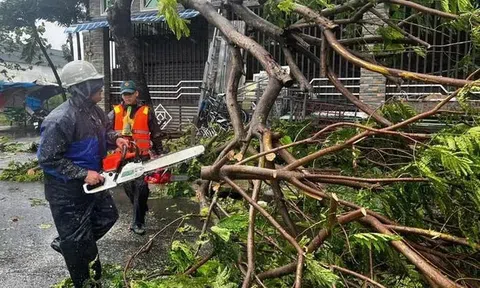 Bão số 6 gây thiệt hại cho các tỉnh, thành miền Trung trước khi suy yếu thành áp thấp nhiệt đới