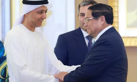 Việt Nam đang tiên phong chuyển đổi xanh và sẵn sàng chào đón các doanh nghiệp UAE