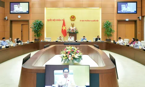 Cần hoạch định một cách rõ ràng và tổng thể giữa các chính sách khuyến khích đầu tư với ưu đãi thuế thu nhập doanh nghiệp