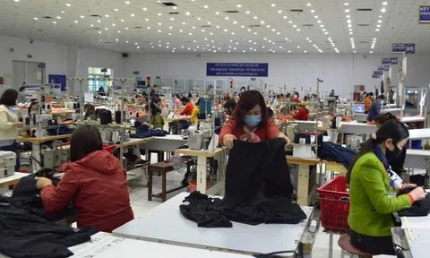 Cần phải có một chương trình chuyên sâu hỗ trợ doanh nghiệp vượt thách thức trong quá trình thực thi các FTA