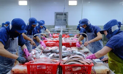 Lần đầu tiên sau 2 năm kim ngạch xuất khẩu thủy sản Việt Nam vượt mốc 1 tỷ USD/tháng