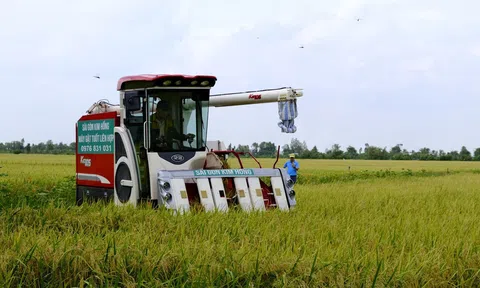 Khơi thông nguồn vốn ưu đãi nhằm hỗ trợ xây dựng các vùng chuyên canh lúa chất lượng cao và phát thải thấp