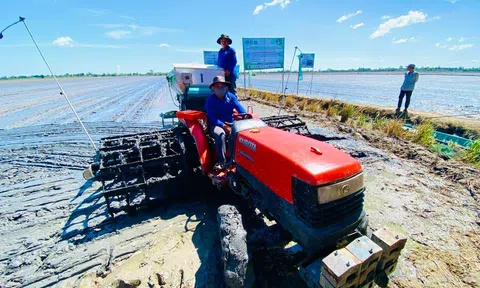 Nguồn vốn cho vay Đề án 1 triệu ha lúa chất lượng cao đang rất dồi dào với lãi suất ưu đãi và không phải thế chấp