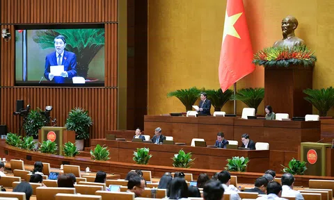 Luật Điện lực (sửa đổi): Cần có những quy định chặt chẽ trong việc thu hút đầu tư điện gió gần bờ và điện gió ngoài khơi