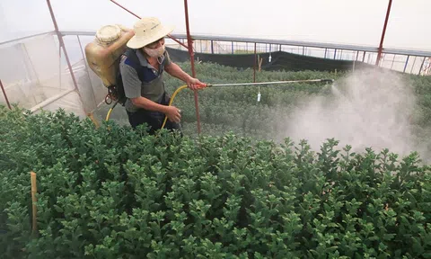 Sử dụng thuốc bảo vệ thực vật đúng cách là 'chìa khóa' mở rộng thị trường, thúc đẩy xuất khẩu nông sản
