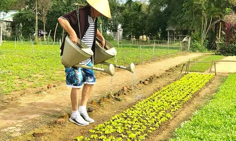 Phát triển du lịch nông nghiệp, nông thôn tạo giá trị mới từ những điều kiện sẵn có