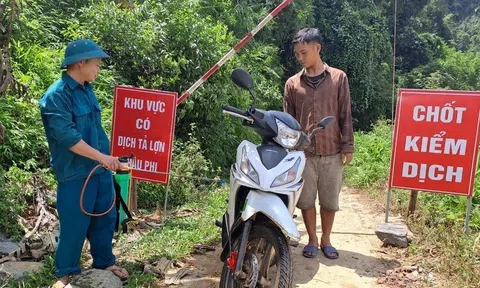 Quyết liệt phòng, chống Dịch tả lợn châu Phi, khôi phục ngành chăn nuôi đảm bảo nguồn cung thực phẩm