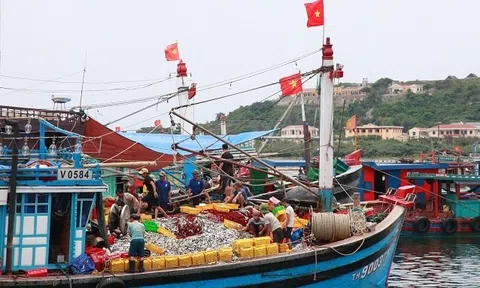 Hải Phòng tăng cường phối hợp các lực lượng chung sức cùng cả nước gỡ 'thẻ vàng' IUU