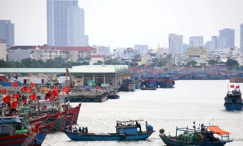 Chủ động ứng phó cơn bão số 8: Tổ chức trực ban 24/24, quản lý chặt chẽ các phương tiện ra khơi