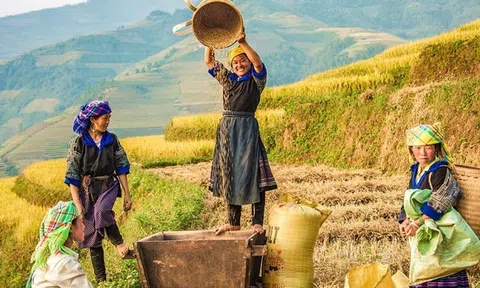 Du lịch nông thôn phải gắn với các sản phẩm du lịch đặc sắc bắt nhịp xu thế và thị hiếu của du khách