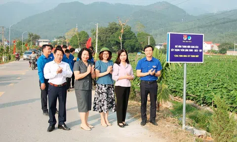 Huyện Tam Đảo (Vĩnh Phúc): Bước chuyển mới từ Mô hình Thanh niên xung kích xây dựng thôn, làng “xanh - sạch - đẹp”