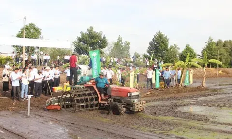 Tỉnh Long An khởi động triển khai 33 mô hình điểm chuyên canh lúa chất lượng cao và phát thải thấp