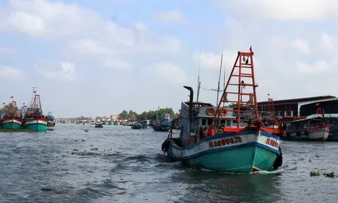 Quyết tâm thực hiệu hiệu quả các khuyến nghị của EC, Kiên Giang chuyển biến tích cực trong công tác phòng chống IUU