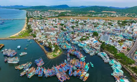 Tăng cường hợp tác phát triển bền vững Đồng bằng sông Cửu Long trên nền tảng công nghệ và nhân lực