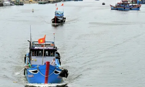 Hoa Kỳ viện trợ 12,5 triệu USD giúp Việt Nam phòng chống khai thác IUU