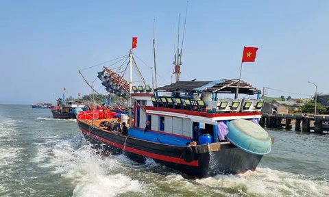 Tỉnh Quảng Ngãi triển khai quyết liệt, đồng bộ các giải pháp gỡ cảnh báo “thẻ vàng” khai thác thủy sản
