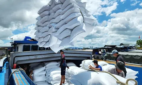 Những tín hiệu lạc quan cho thấy kinh tế Việt Nam có khả năng tăng trưởng vượt kế hoạch năm 2024