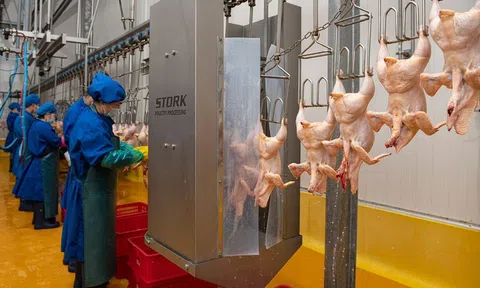 Tăng cường truyền thông về an toàn thực phẩm nhằm củng cố lòng tin của cộng đồng