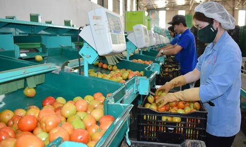 Cả nước có hơn 218.500 doanh nghiệp đăng ký thành lập và quay trở lại hoạt động