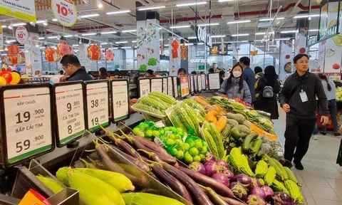 Bán lẻ và dịch vụ khởi sắc thể hiện sức mua của người dân và sức hút mạnh mẽ của hàng Việt