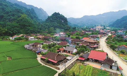 Ưu tiên sử dụng nguồn vốn ODA và vốn vay ưu đãi để phát triển nông nghiệp trong bối cảnh mới