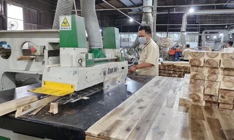 Xuất khẩu gỗ sang Hoa Kỳ chờ đợi "bước ngoặt" từ thay đổi chính sách và xu hướng tiêu dùng xanh