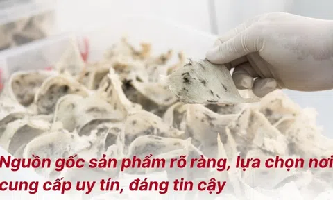 Chia sẻ kinh nghiệm lựa chọn cơ sở mua yến sào uy tín
