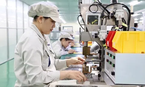 Việt Nam đầu tư tại 31 quốc gia, vùng lãnh thổ với tổng vốn 598,7 triệu USD