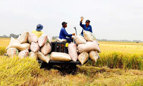 Những nền móng để ngành nông nghiệp bứt phá, kỳ vọng đạt tổng kim ngạch 60 - 61 tỷ USD trong năm 2024