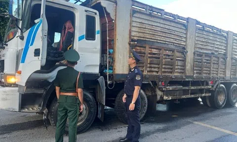 Tăng cường chống buôn lậu, gian lận thương mại và hàng giả dịp cuối năm 2024