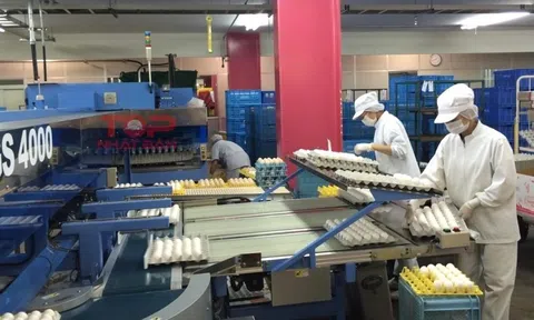 Trong năm 2024 cả nước có trên 150.000 người đi làm việc ở nước ngoài, thu nhập và phúc lợi ngày càng đảm bảo