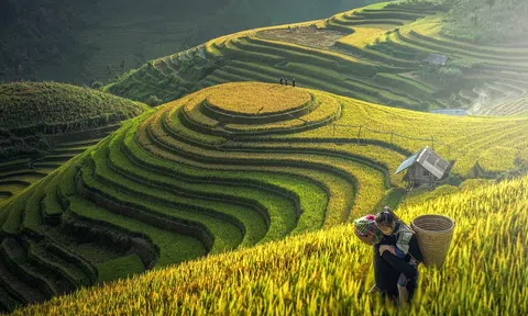 GGGI hỗ trợ các mục tiêu tăng trưởng xanh và hành động khí hậu của Việt Nam