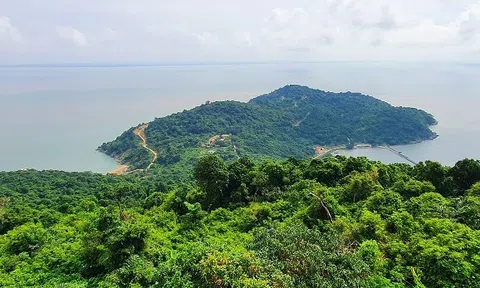 Quản lý, bảo vệ và phát triển các loài sinh vật đặc hữu, quý hiếm trong khu bảo tồn biển Cà Mau