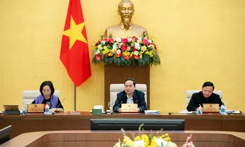 Giảm thuế bảo vệ môi trường đối với xăng, dầu, mỡ nhờn trong năm 2025 để góp phần bình ổn giá xăng, dầu trong nước