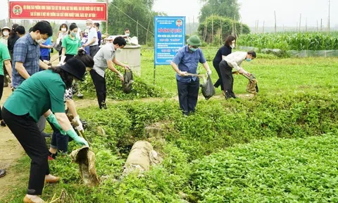 Các tỉnh, thành phố khẩn trương báo cáo công tác bảo vệ môi trường trước ngày 10/1/2025